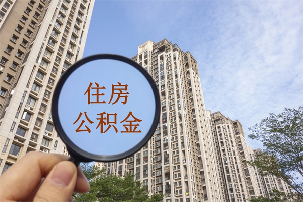 绥化离职多久可以取住房公积金（离职多久后能取公积金）